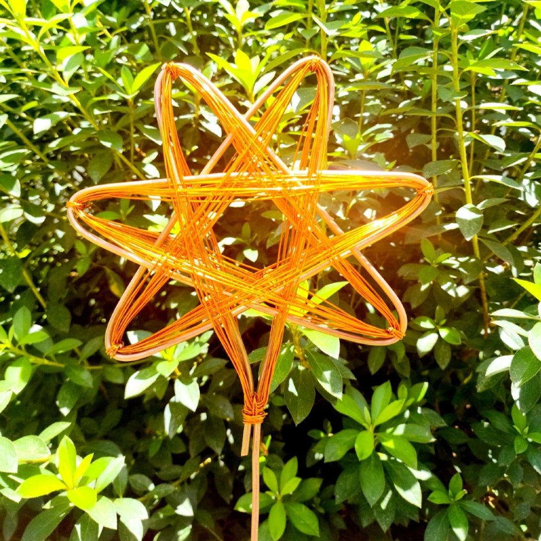 Healthy Grow Garden Star Antenna - Real Rife Machine
